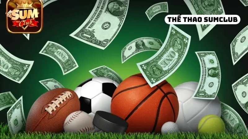 uu-diem-cua-viec-tham-gia-da-ga-sumclub